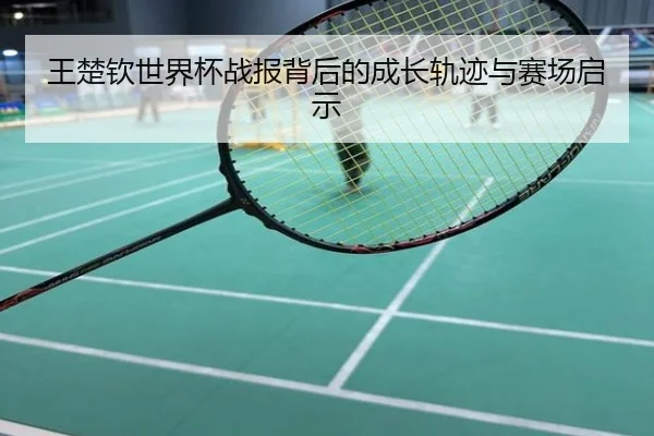 王楚钦世界杯战报背后的成长轨迹与赛场启示